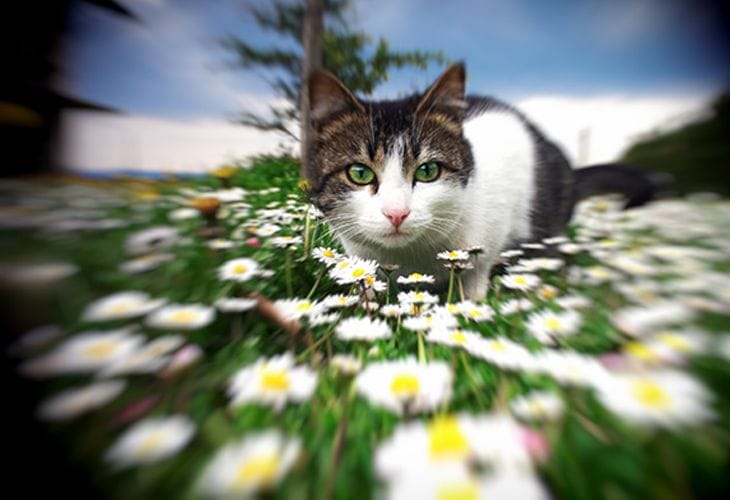 Ultimate Collection of Adobe Photoshop Plugins 5 Bokeh 2