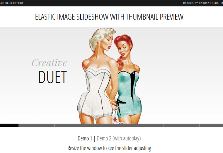 35 Best Responsive jQuery Slider Plugins 25 Elastic Image Slideshow with Thumbnail Preview