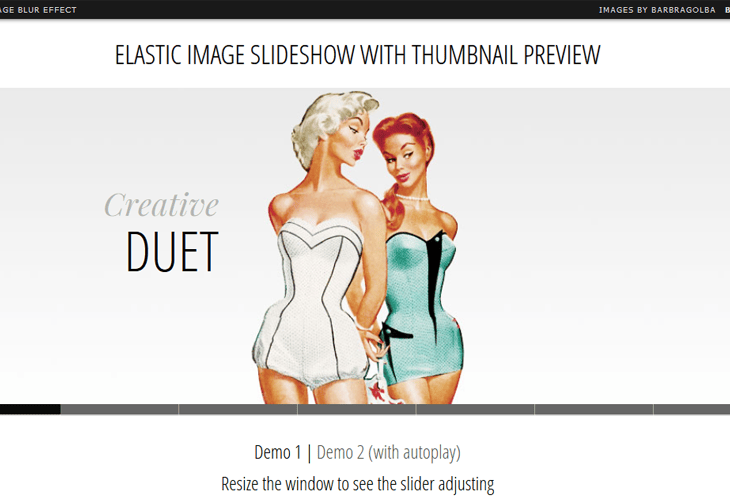 Elastic Image Slideshow with Thumbnail Preview