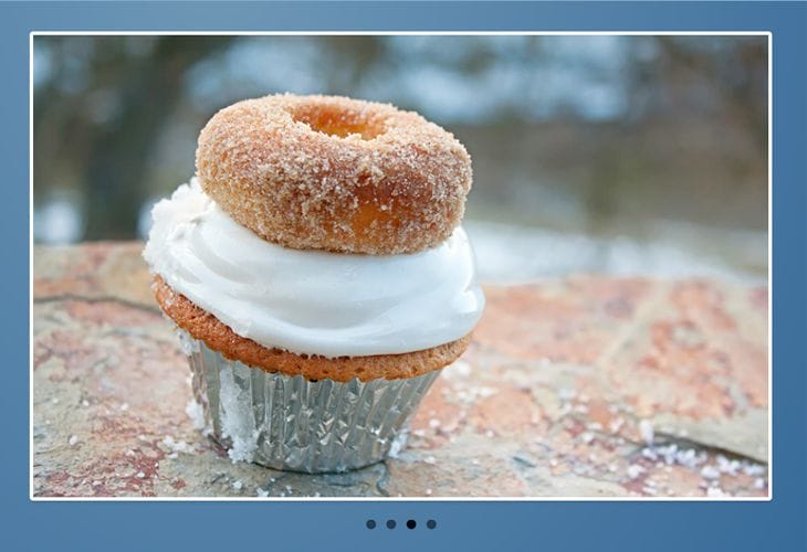 35 Best Responsive jQuery Slider Plugins 4 FlexSlider