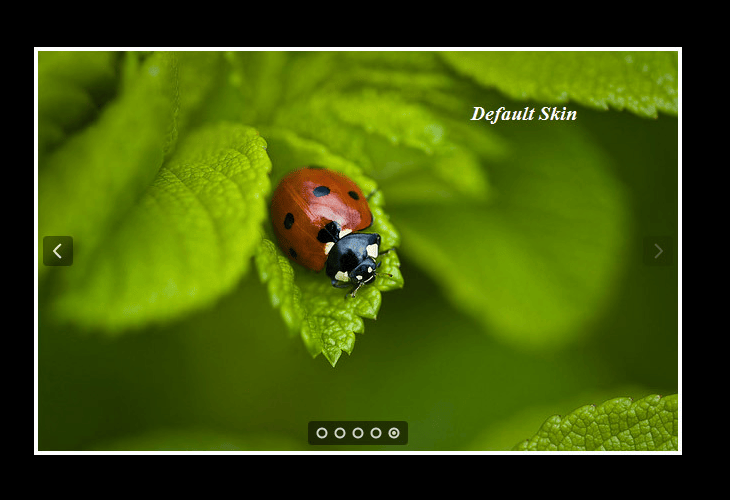 35 Best Responsive jQuery Slider Plugins 18 RoyalSlider – Touch-Enabled jQuery Image Gallery