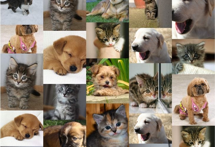 35 Best Responsive jQuery Slider Plugins 31 Seamless Responsive Photo Grid