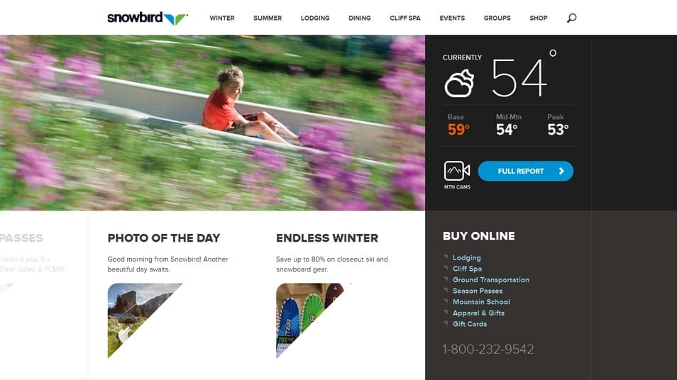 Snowbird Snowbird