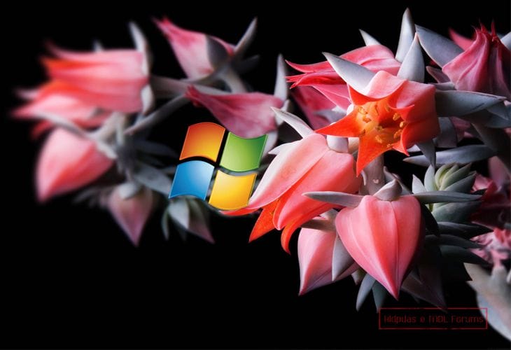 Free Download High Quality Windows 8 Wallpapers 8 MS Windows-8