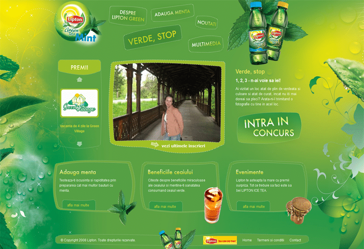 lipton green mint lipton green mint