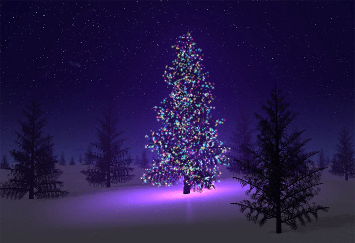 25 Best Unique and Inspirational Christmas Trees 4 Beautiful christmas tree