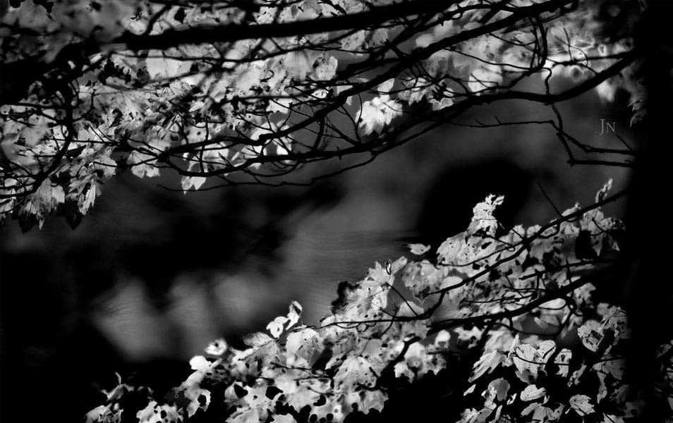 25 Best Monochromatic Black and White Photography 26 Black and White