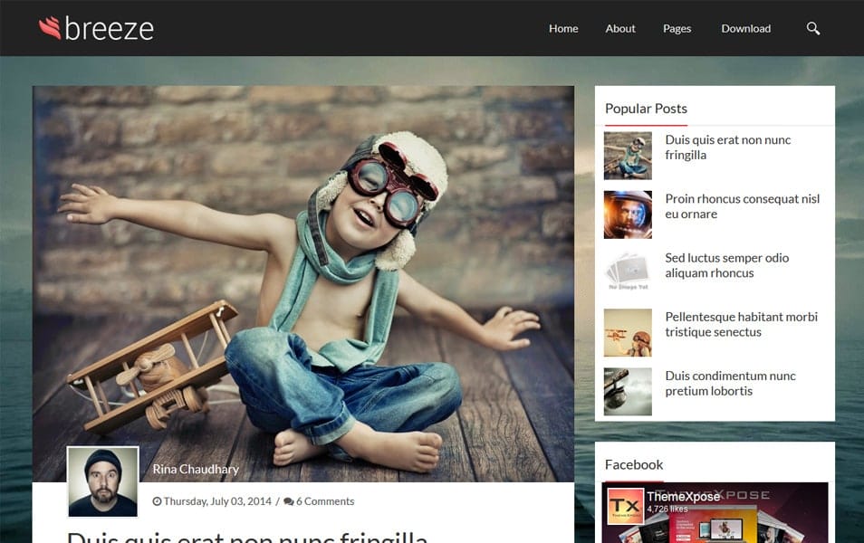 Breeze Responsive Personal Blogger Template