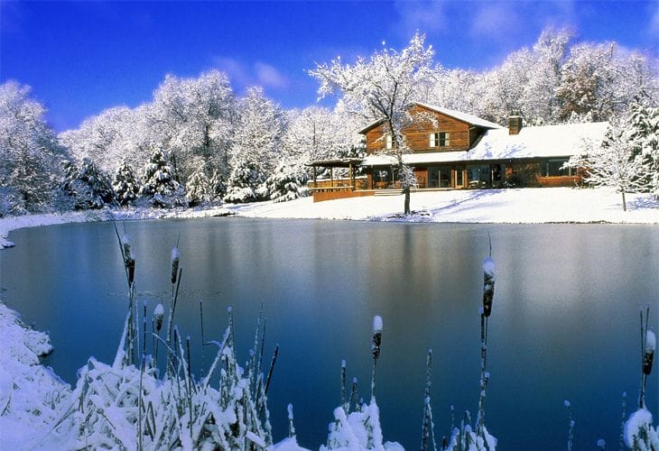 Christmas-Nature Christmas-Nature