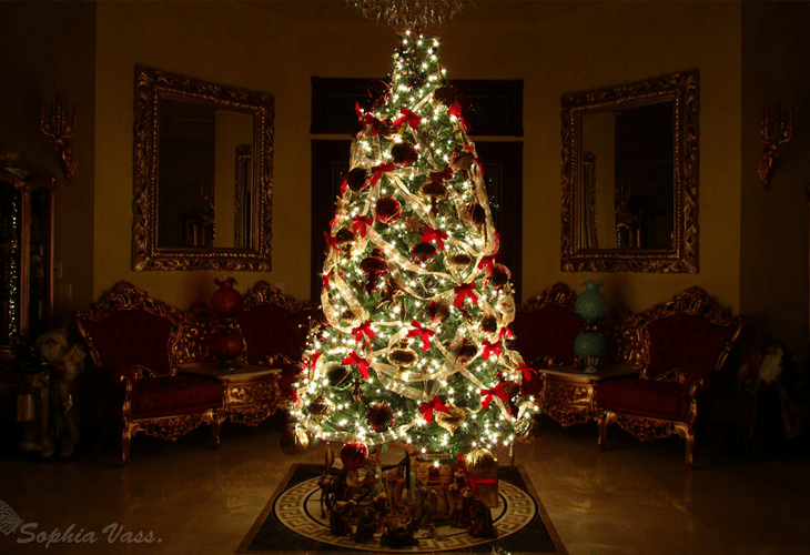 25 Best Unique and Inspirational Christmas Trees 7 Christmas Tree 2010