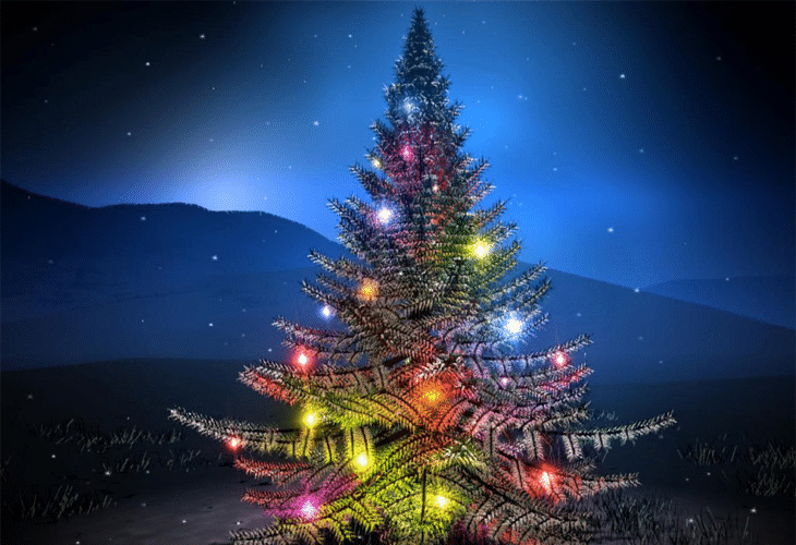 25 Best Unique and Inspirational Christmas Trees 9 Christmas Tree - Holy Night