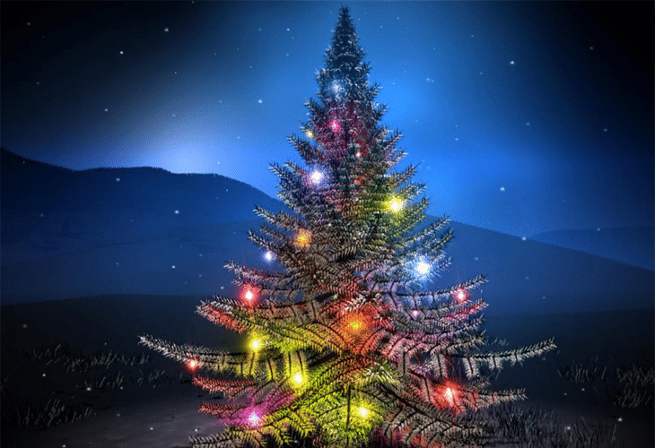 Christmas Tree - Holy Night