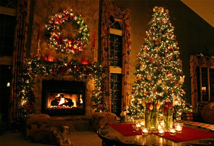 25 Best Unique and Inspirational Christmas Trees 2 Christmas Tree