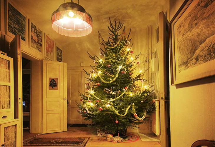 Christmas tree 2007