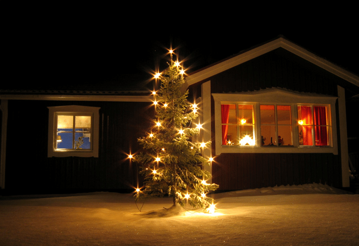 25 Best Unique and Inspirational Christmas Trees 17 Christmas