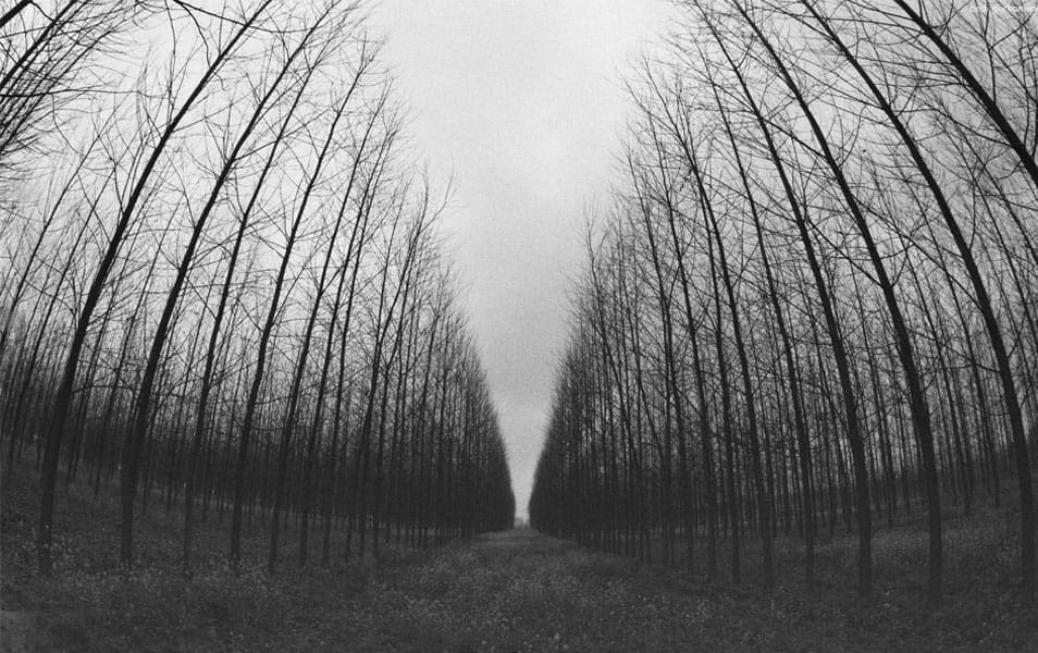 25 Best Monochromatic Black and White Photography 15 Gurkanwar Singh Bedi