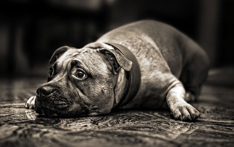 25 Best Monochromatic Black and White Photography 13 Mikko Lagerstedt