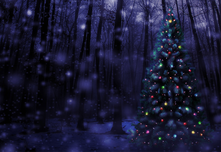 25 Best Unique and Inspirational Christmas Trees 6 O' Christmas Tree