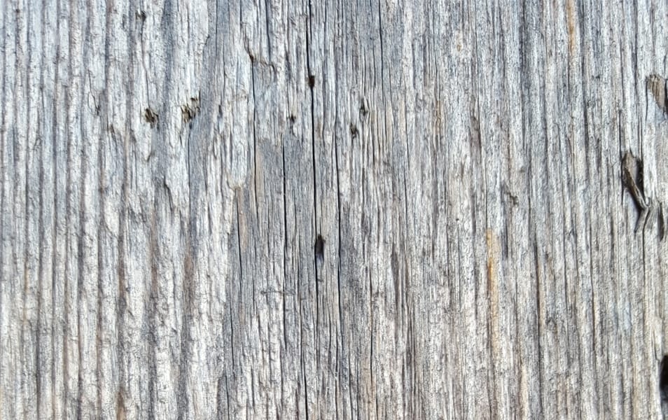 Texture - Wood #3