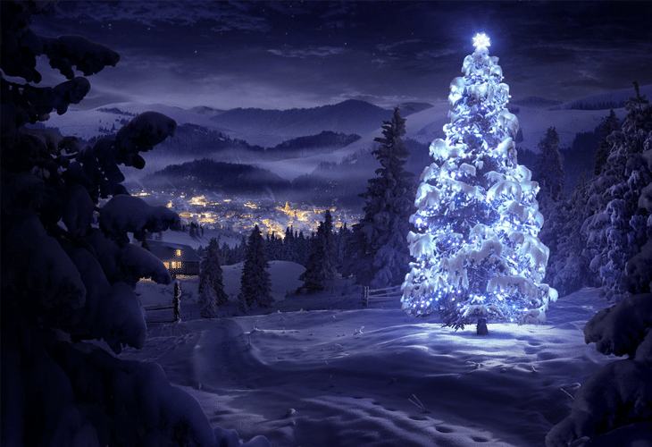 25 Best Unique and Inspirational Christmas Trees 1 Tree of wishes
