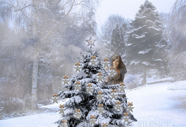 25 Best Unique and Inspirational Christmas Trees 22 White Christmas