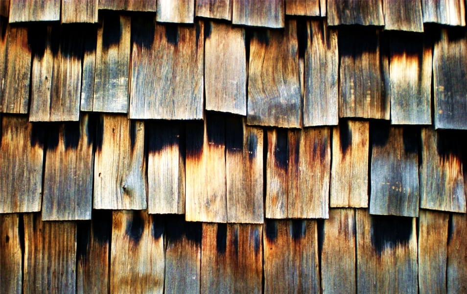 cedar texture stock