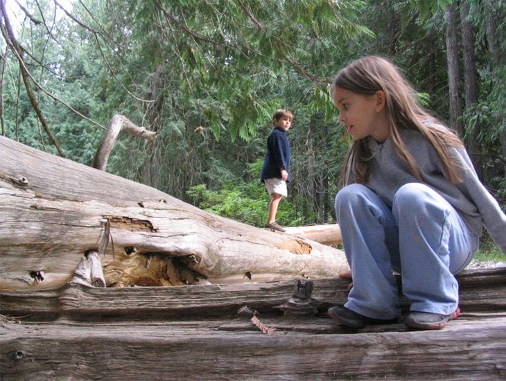 10 Incredible Examples of Funny Optical Illusions in Photos 5 Ana Monfort