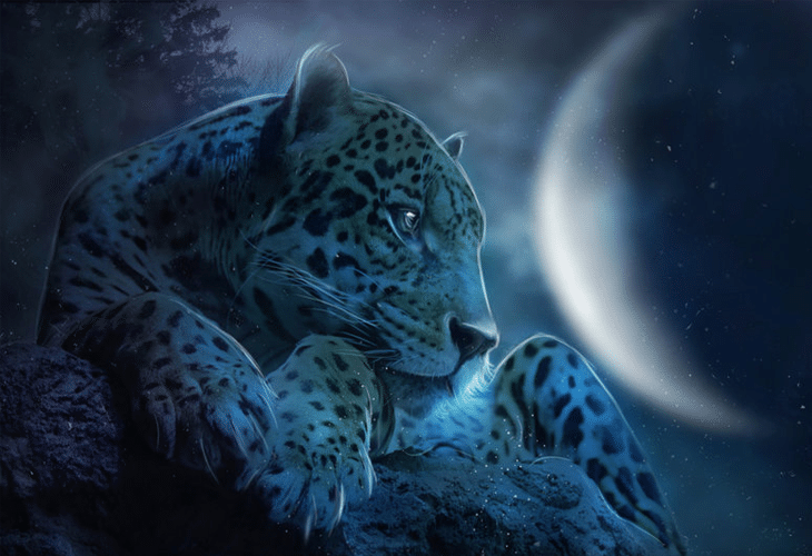 Digital Art Digital Arts