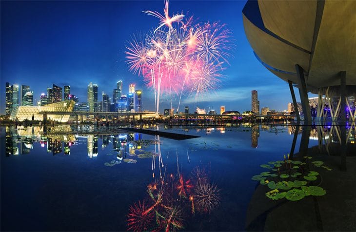 40 Amazing Examples of Firework Photography 3 Fire Bloom