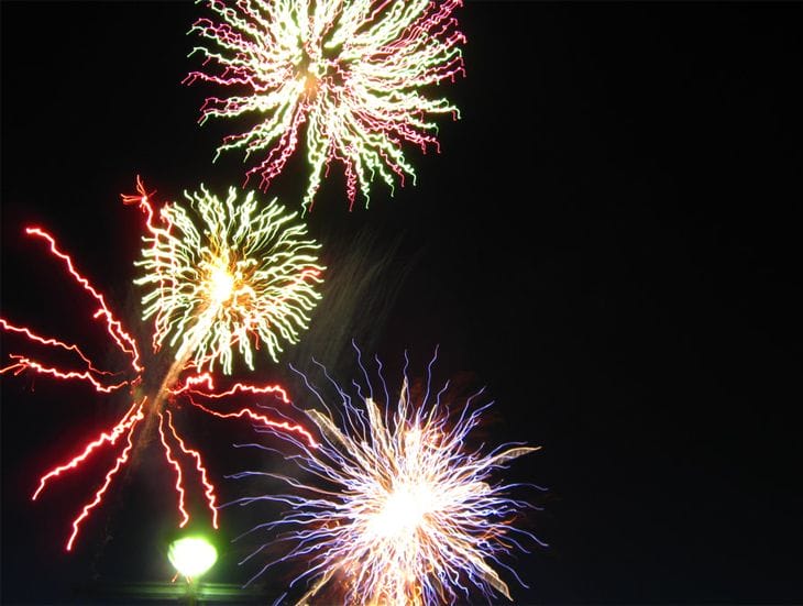 40 Amazing Examples of Firework Photography 29 Fire Flowers - Fireworks 15