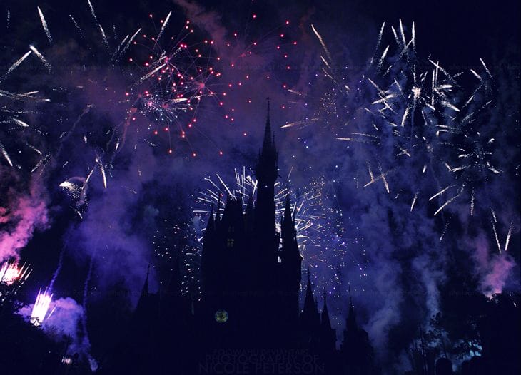 40 Amazing Examples of Firework Photography 27 Flight of dreams