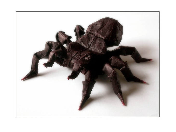 Origami Tarantula