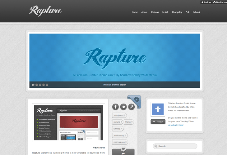 Rapture Tumblr Theme