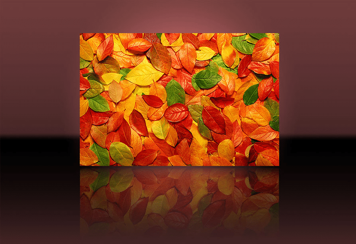 Reflections Reflections