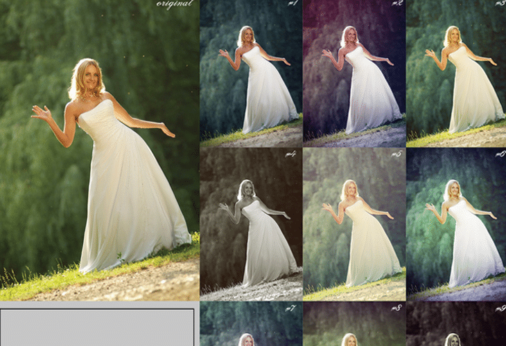 Wedding-Theme-Action Wedding-Theme-Action