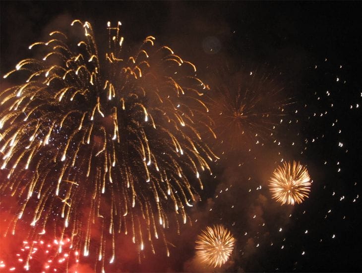 40 Amazing Examples of Firework Photography 32 sparkle IV