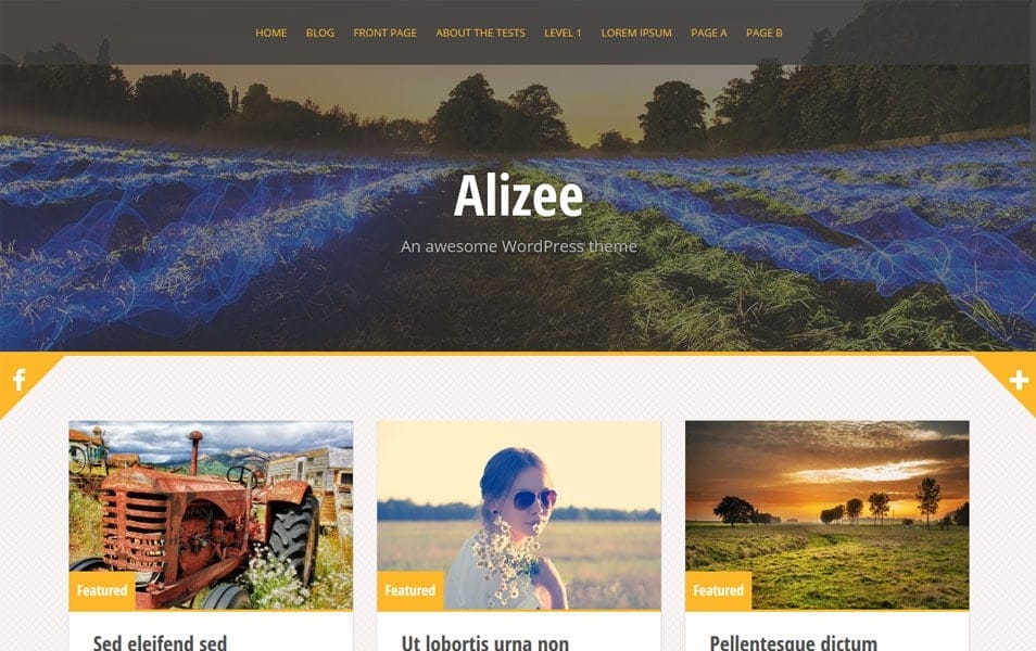 10+ Best Free Pinterest Style WordPress Themes 2022 10 Alizee WordPress Theme