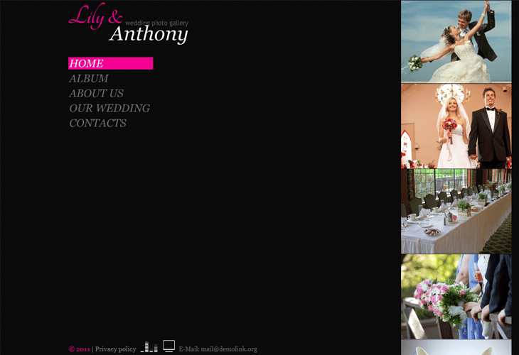 25 Premium Wedding Website Templates for Inspiration 9 Lily & Anthony Wedding Photo Gallery
