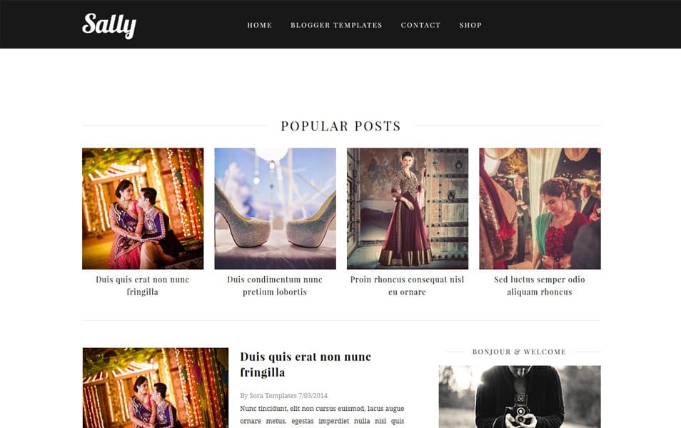 40+ Latest Free Gallery Style Blogger Templates 2022 21 Sally Responsive Blogger Template
