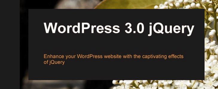 WordPress 3.0 jQuery