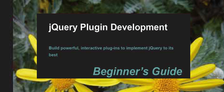 jQuery Plugin Development Beginner's Guide