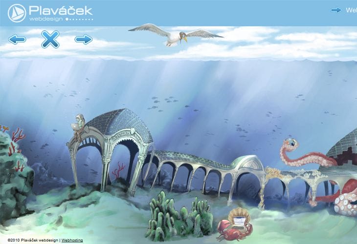 plavacek plavacek