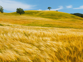 30 Beautiful Examples of Nature Photography Inspiration