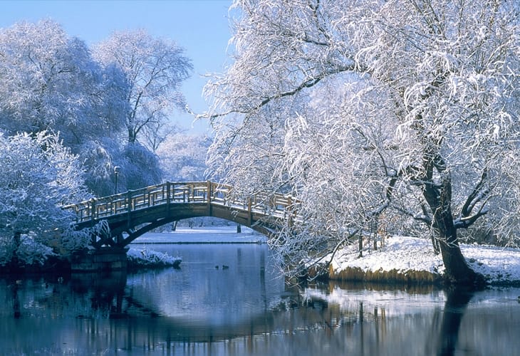 40 Beautiful Free Winter Wallpaper Designs For Inspiration 6 Bridge