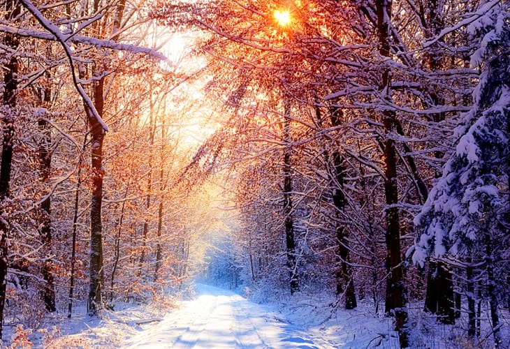 40 Beautiful Free Winter Wallpaper Designs For Inspiration 1 Deep Silence