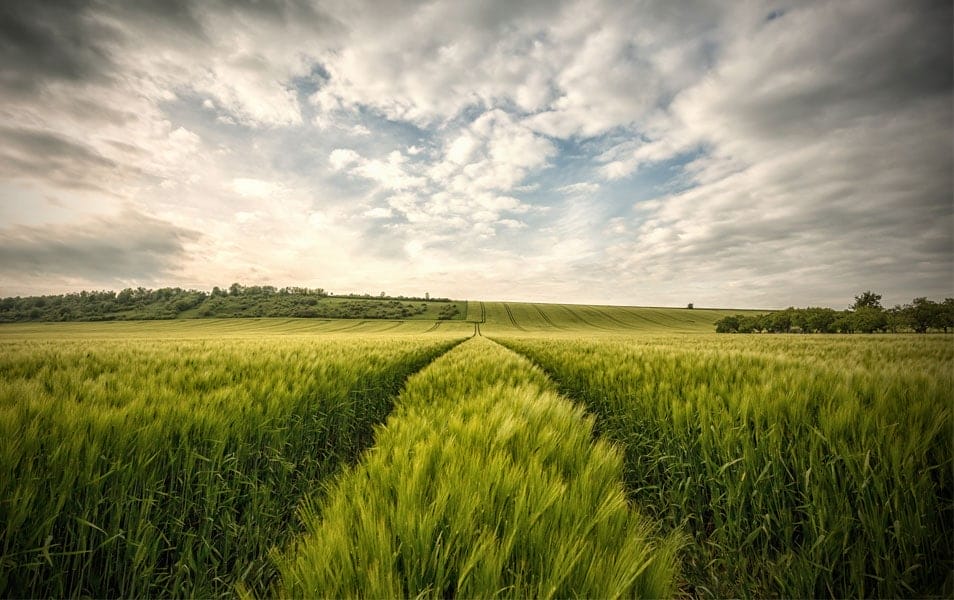 30 Beautiful Examples of Nature Photography Inspiration 9 Die Zeit zurück