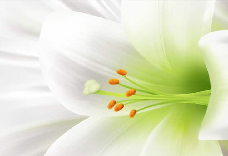 50 Beautiful Easter Wallpapers 58 Easter