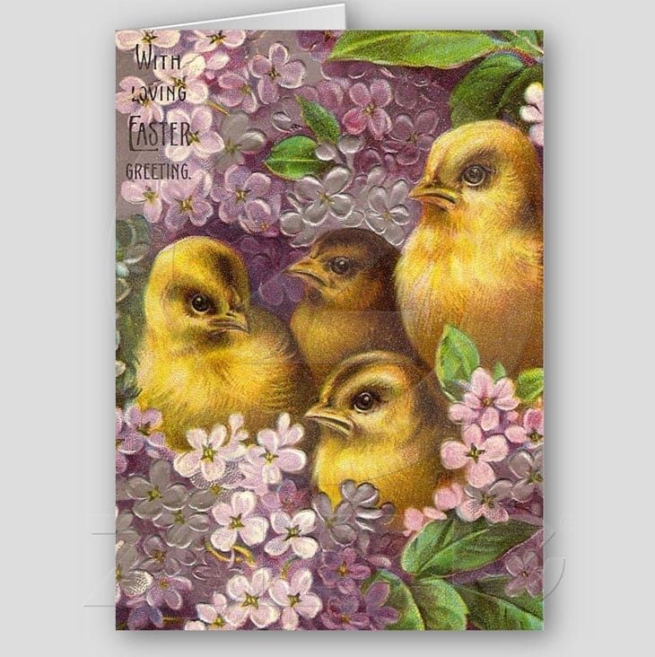 30 Beautiful Vintage Easter Greetings Cards and Postcard 7 Easter Chicks Greeting Cards