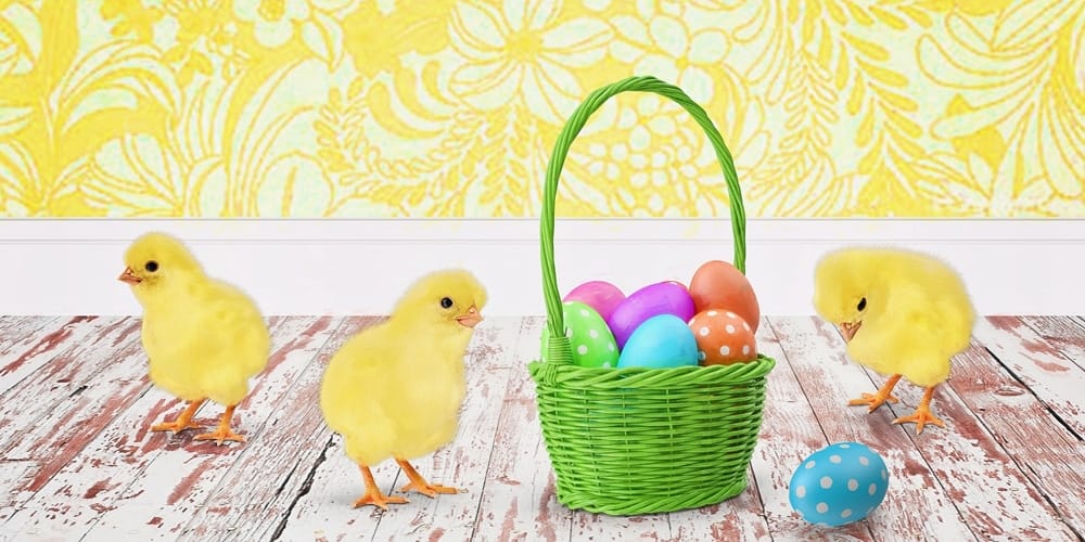 50 Beautiful Easter Wallpapers 42 Easter Chicks