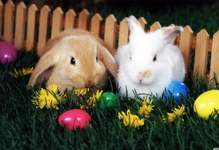 50 Beautiful Easter Wallpapers 19 Easter-Egg-Hunt-wallpaper